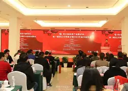 IM电竞官方网站下载入口-四川金强三外援