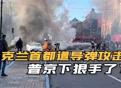 博洛尼亚队员名单