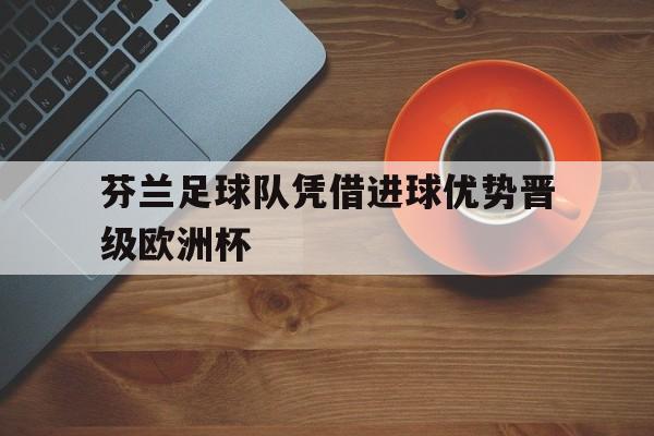 芬兰足球队凭借进球优势晋级欧洲杯了吗