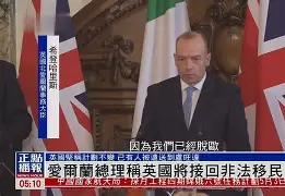 爱尔兰和葡萄牙比分